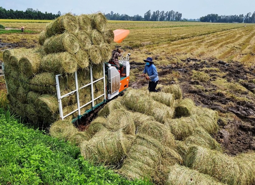 Bộ trưởng Bộ NN&MT yêu cầu phát triển dịch vụ công trực tuyến, cấp phép tự động, cá nhân hóa dịch vụ số, đảm bảo thủ tục hành chính doanh nghiệp được thực hiện thông suốt, hiệu quả.