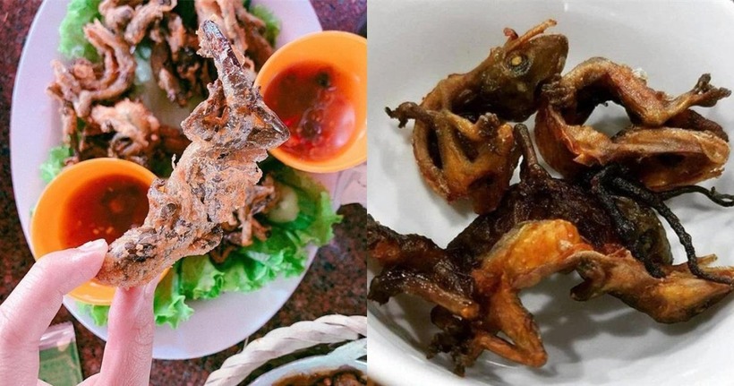 Thịt thằn lằn núi Bà Đen có thể được chế biến thành nhiều món ăn hấp dẫn.