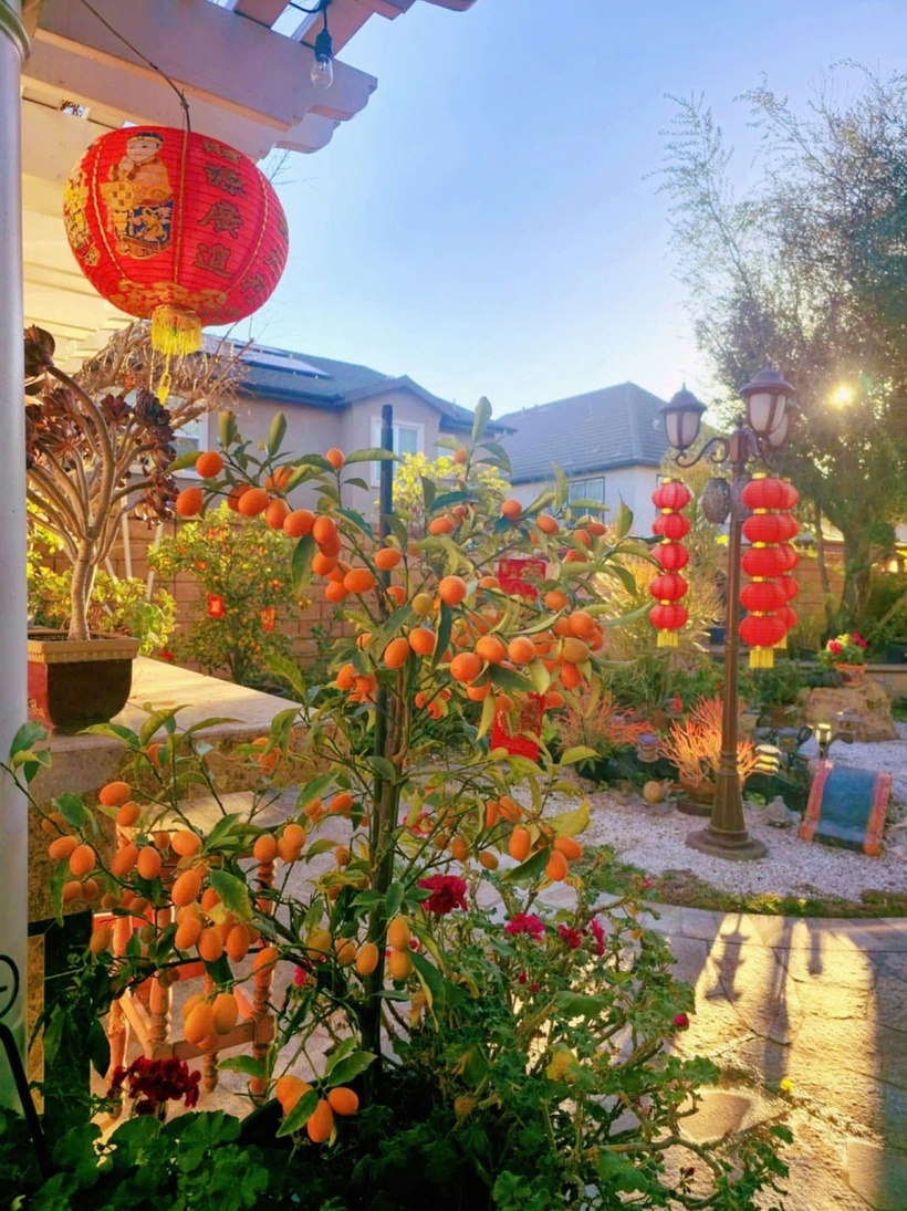 Đặc biệt, căn nhà của chị có khu vườn xanh mát bao quanh. Vườn nhà Hồ Lệ Thu theo phong cách Zen (phong cách vườn thiền của Nhật Bản).