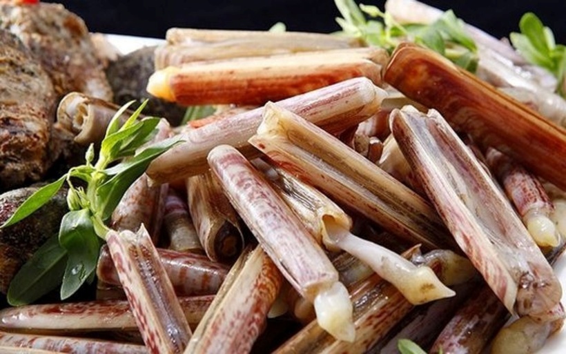 Ở Việt Nam, ốc móng tay phân bố rộng rãi ở nhiều vùng biển. Tuy nhiên, ốc móng tay Quảng Ninh.