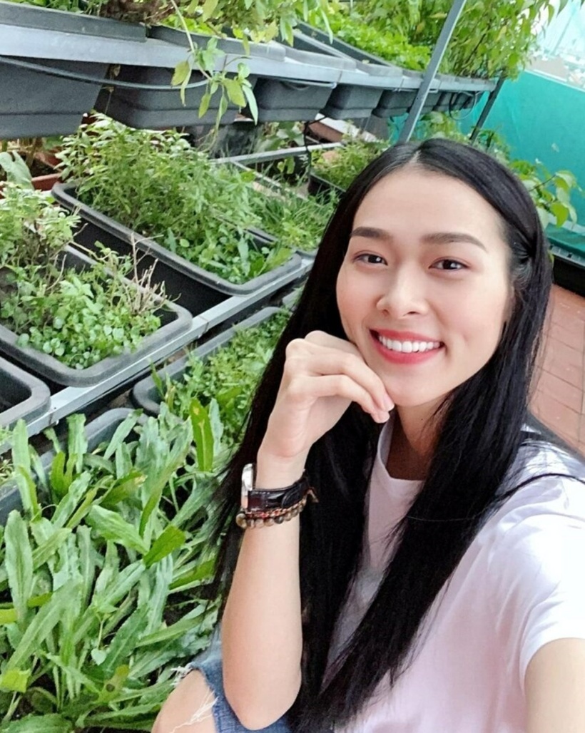 “Vào những ngày thường, tôi dành thời gian lên thăm vườn. Nhà tôi trồng toàn rau organic. Chiều nào cũng lên thăm mấy "em". Bận quá thì 2-3 ngày cũng phải lên xem các "em" lớn thế nào“, Diệp Bảo Ngọc từng chia sẻ.