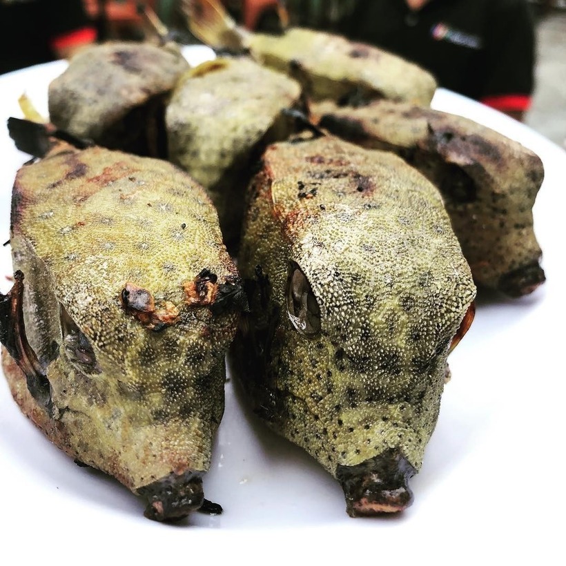 Cá bò hòm có giá thành đắt đỏ hơn cả tôm hùm, một loại hải sản vốn được xem là cao cấp, là do số lượng cá ngoài tự nhiên không còn nhiều.