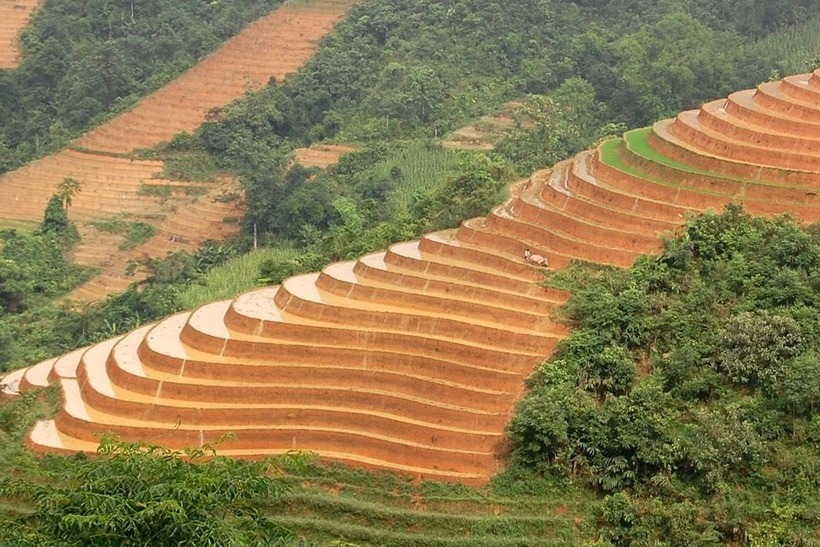 Điều thú vị ở Sa Pa là sự độc đáo trong hình dáng của những thửa ruộng bậc thang. Ảnh minh họa/ Dân Trí.