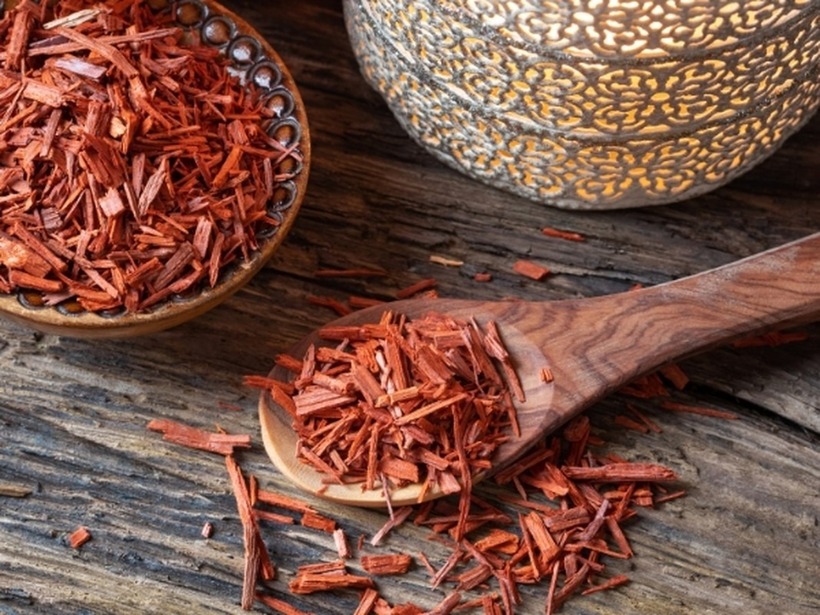 Cây đàn hương còn được gọi là cây "vàng xanh".