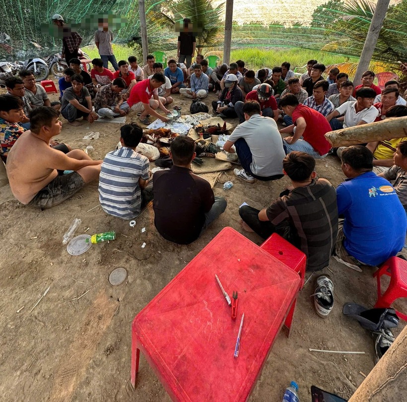 Tụ điểm đá gà ăn tiền nằm sâu trong khu vực xã tiếp giáp biên giới bị công an bắt giữ. Ảnh: Dân Việt
