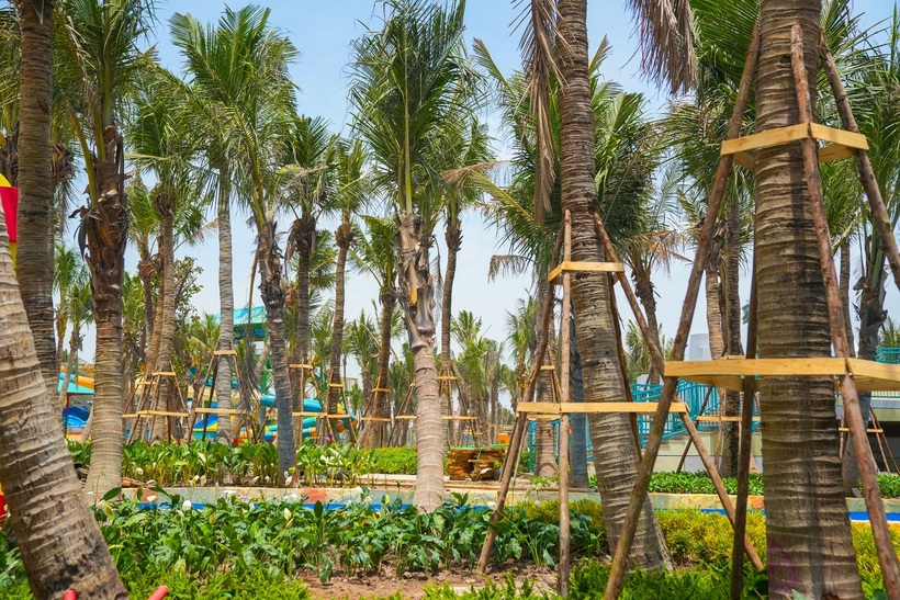 Sun Group đầu tư hàng trăm tỷ đồng phủ xanh đô thị nghỉ dưỡng Nam Hà Nội - 11