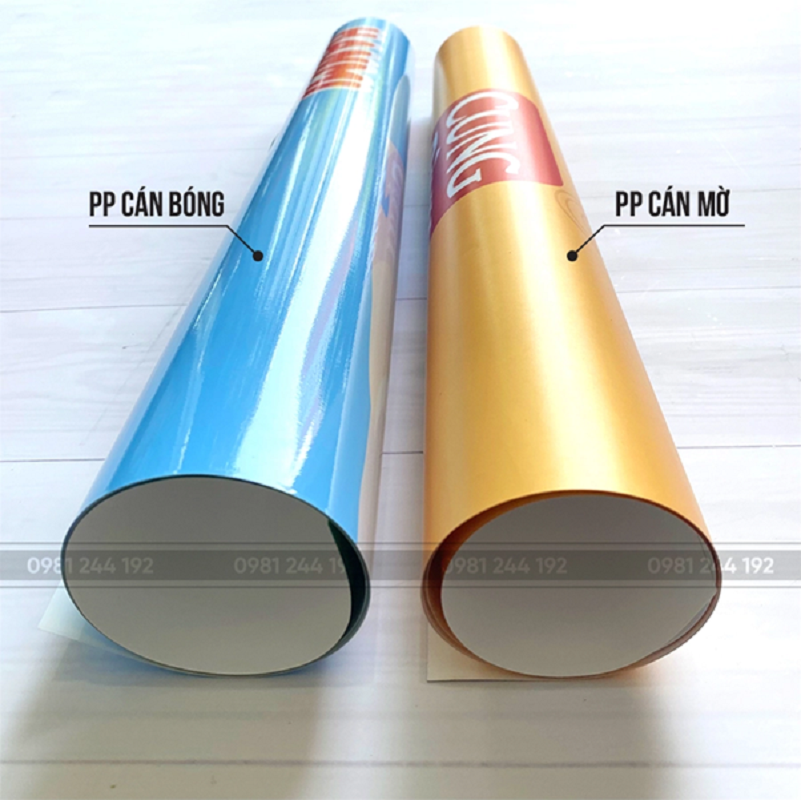 In pp cán bóng cho standee là vật liệu phổ biến hiện nay bởi tính tiện lợi và di động linh hoạt