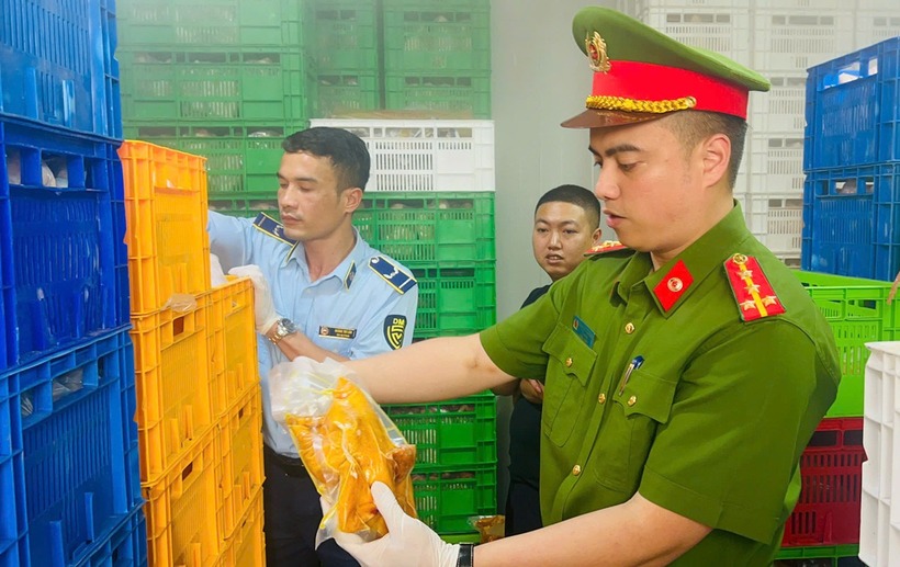 Cơ quan chức năng kiểm tra kho đông lạnh. (Ảnh: VietnamNet)