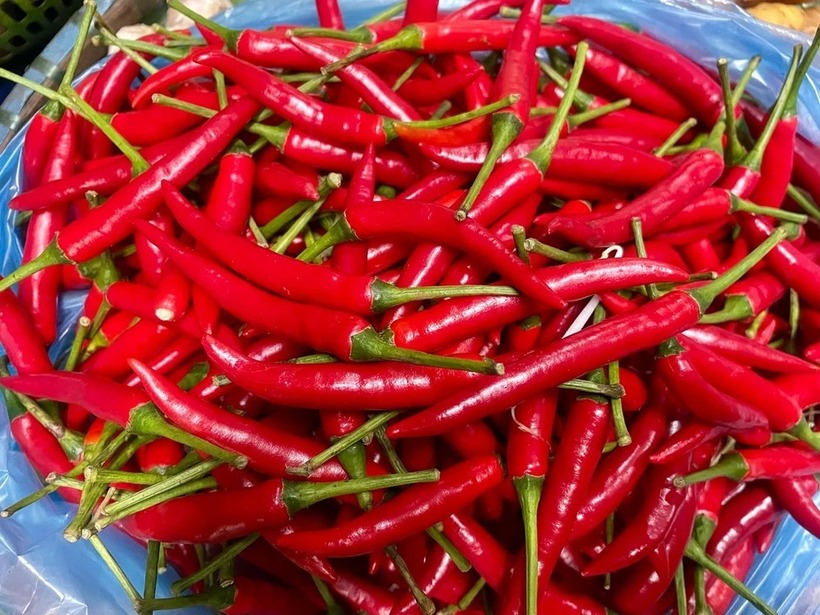 Những công dụng của quả ớt.