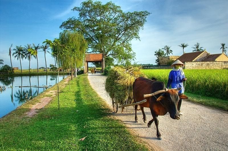 Làng cổ Đường Lâm thuộc địa phận thị xã Sơn Tây, thành phố Hà Nội.