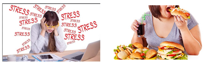 Trầm hương AGA chống đột quỵ – giảm cholesterol trong máu, giúp giảm nguy cơ xơ vữa động mạch, giúp tốt cho sức khoẻ tim mạch - 2