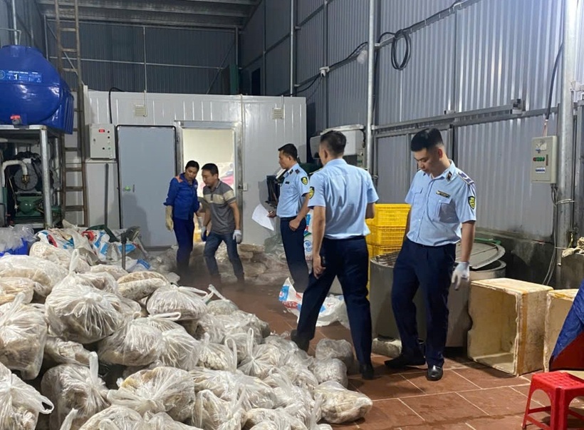 Tại cơ sở kinh doanh, Đoàn kiểm tra phát hiện gần 11 tấn sản phẩm là thịt bò và nội tạng bò không rõ nguồn gốc. Ảnh: Cục Quản lý và Phát triển thị trường trong nước.