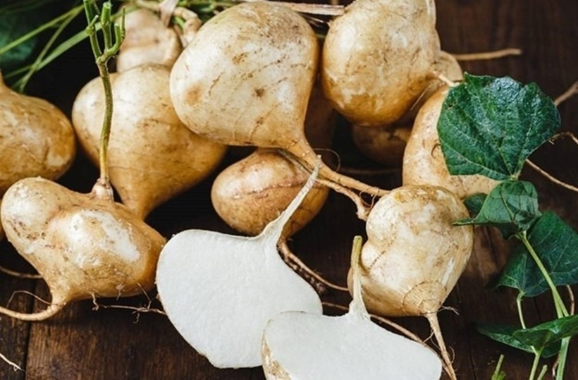 Củ đậu là loại củ quen thuộc ngày hè.