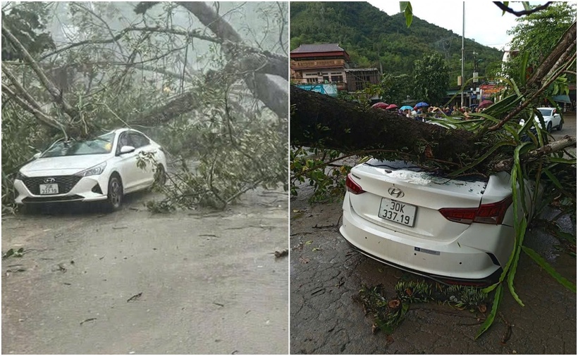 Một chiếc ô tô bị cây đa trăm tuổi đè bẹp khi đang di chuyển trên đường An Dương Vương, hướng từ Dốc Cun vào trung tâm TP.Hòa Bình. (Ảnh: Dân Việt)