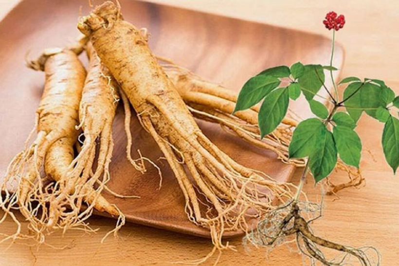 Nhân sâm chứa nhiều hoạt chất giúp ngăn ngừa biến chứng suy thận