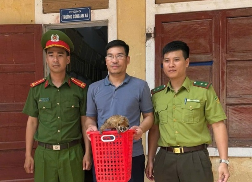 Anh Đàm Xuân Minh giao nộp động vật cu li quý hiếm. Ảnh: Người lao động