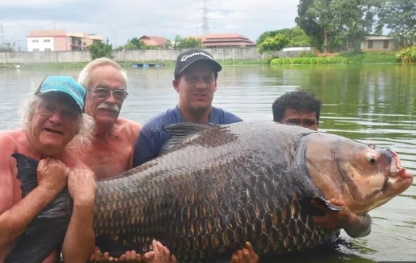 Kelvin ôm chú cá chép kích thước lớn, chụp ảnh cùng bạn thân, bố và một người dân địa phương. Ảnh: Sun