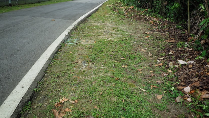 Vị trí gần Khu bảo tồn thiên nhiên Bukit Timah - nơi xảy ra vụ việc đau lòng. Ảnh: Channelnewsasia
