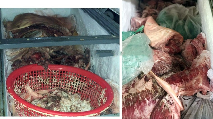 Gần 800 kg thịt heo bị ôi thiu. Ảnh: VOV.