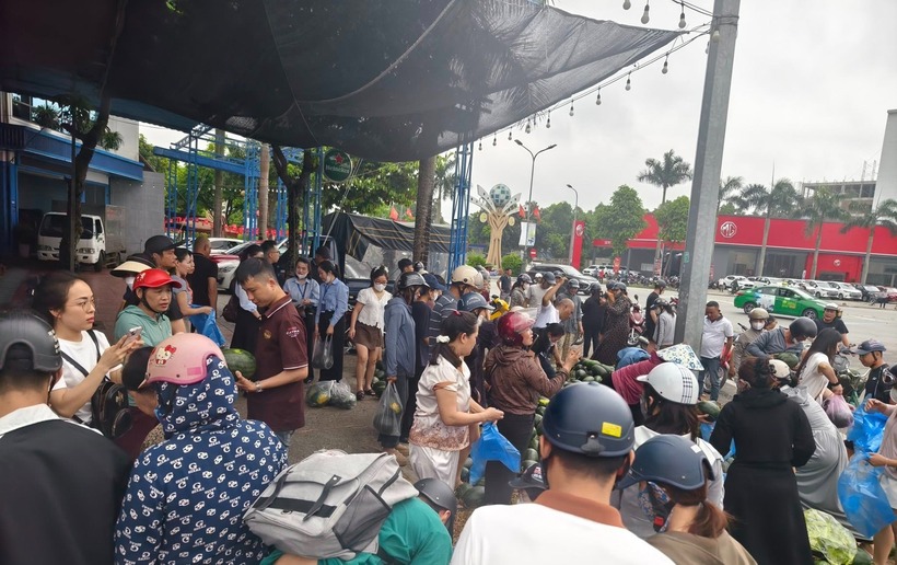 Người dân chung tay giải cứu dưa hấu. Ảnh: VietNamNet.