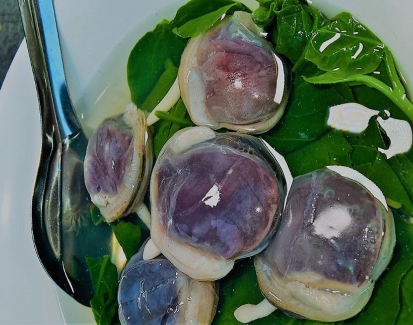 Thuộc họ nhuyễn thể, cùng "gia đình" với ngao, nhưng ngán lại sở hữu kích thước nhỉnh hơn.