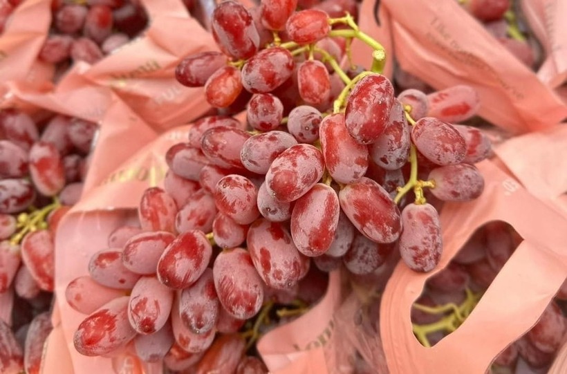 Nguồn cung cấp chất chống oxy hóa flavonoid, giúp giảm viêm nhiễm và chống lại bệnh tim, tiểu đường và các tình trạng sức khỏe khác.