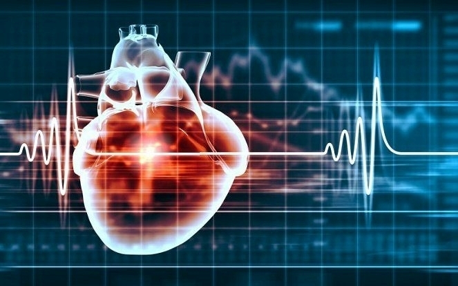 Không phải ai cũng hiểu rõ về ý nghĩa của nhịp tim nhanh hay chậm.