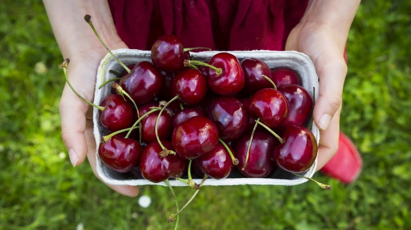 Một trong những thực phẩm cực kỳ tốt cho sức khỏe nhất là người bệnh thận là cherry.