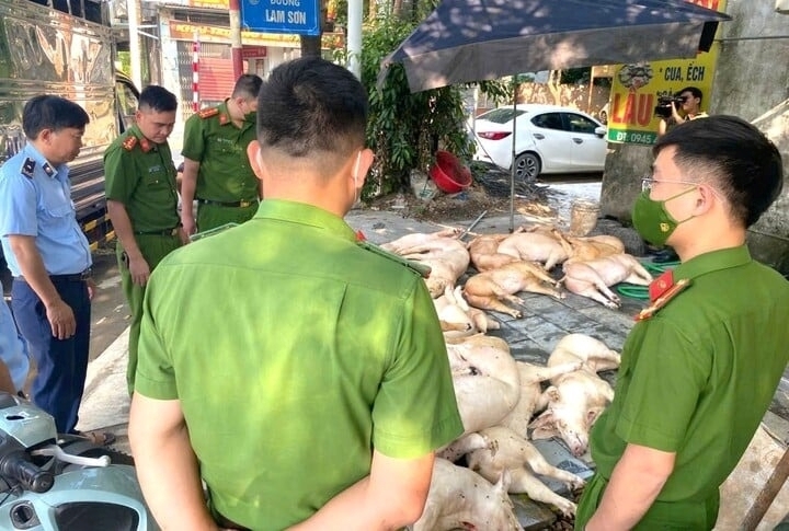 Lực lượng chức năng kiểm tra tại nhà hàng Thanh Mai. Ảnh: Tạp chí Công thương