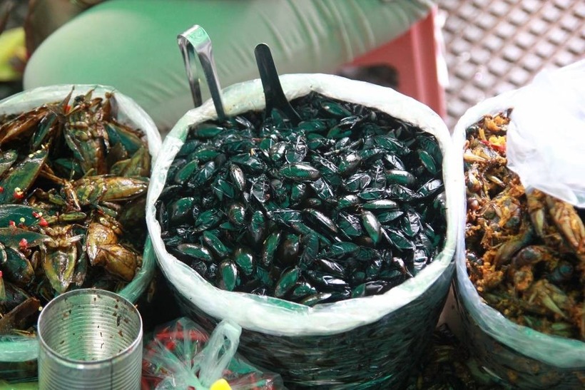 Món ăn từ cà niễng.