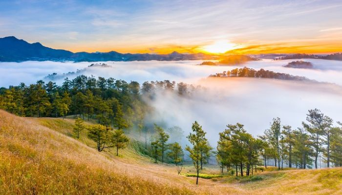 Đà Lạt tháng 5 thường buổi sáng nắng nhẹ, trưa nắng gắt, chiều thường xuất hiện mưa rào.