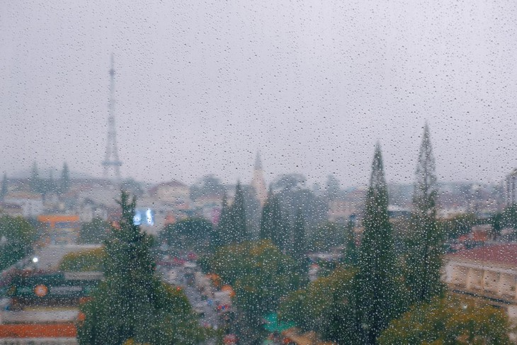 Mưa tại Đà Lạt.