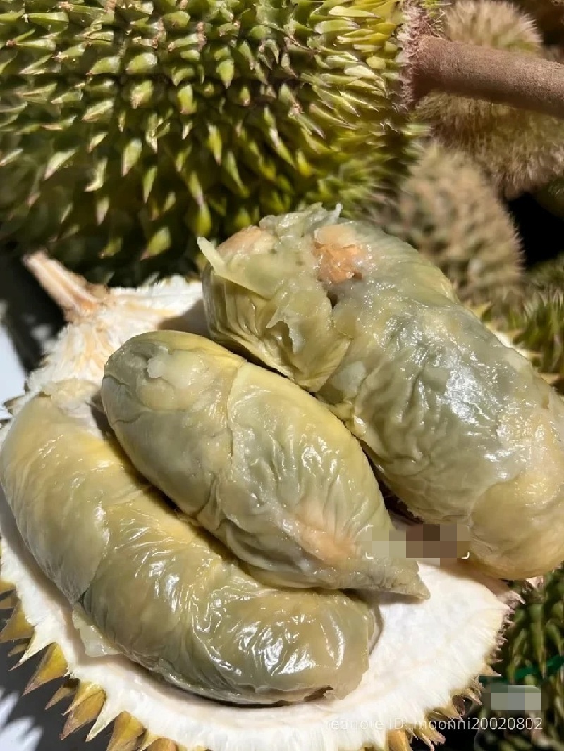 Phần thịt sầu riêng có màu sắc được nhiều người miêu tả là giống “trái sầu riêng bị hỏng”. Ảnh: Saostar.