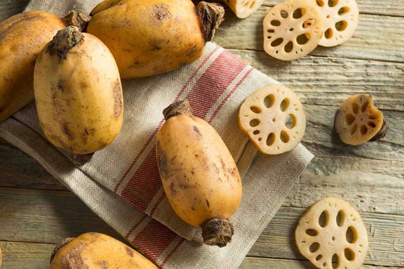Củ sen còn được sử dụng để hỗ trợ điều trị các chứng bệnh thấp nhiệt tích tụ trong cơ thể.