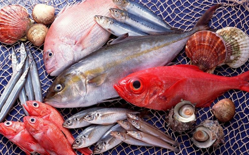 Niều người lo ngại một số loại cá có thể chứa hàm lượng thủy ngân cao, gây độc cho cơ thể.