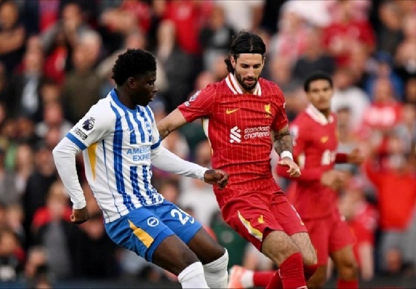 Kết quả bóng đá hôm nay ngày 20/5: Liverpool thua ngược trên sân của Brighton.
