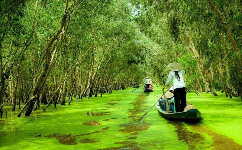 Mùa nước nổi, rừng Trà Sư khoác lên mình chiếc áo mới tuyệt đẹp với những gam màu rực rỡ như một bức tranh đầy cảnh sắc của miền Tây sông nước.