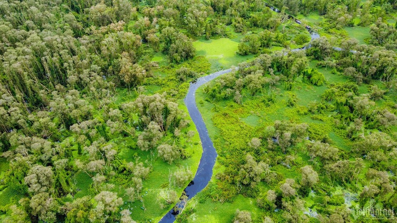 Rừng tràm Trà Sư với diện tích 845 ha vùng lõi và 643 ha vùng đệm nằm trong hệ thống các khu rừng đặc dụng của Việt Nam.