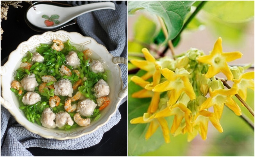 Canh thiên lý vô cùng thơm ngon, bổ dưỡng. (Ảnh: VNE)