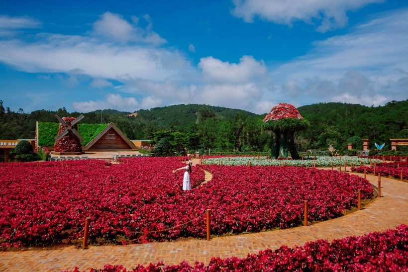 "Biển" hoa rực rỡ tại Khu du lịch Fresh Garden. Ảnh: Dân Việt