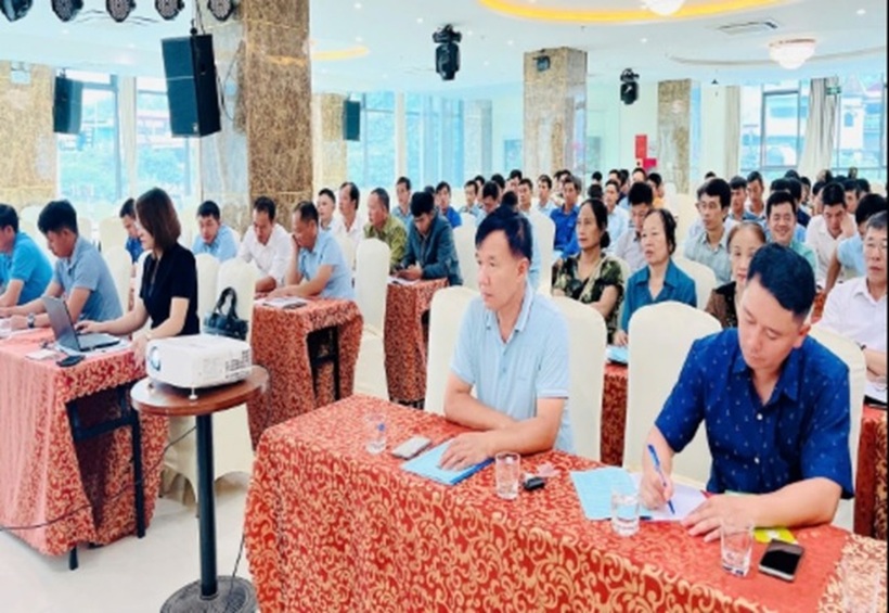 Các đại biểu tại hội nghị.