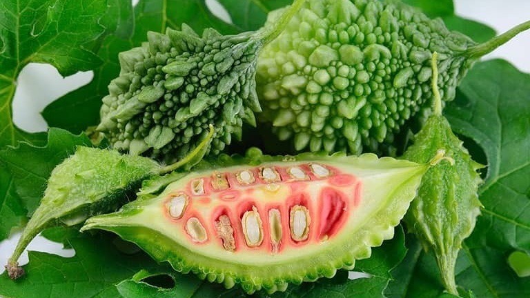 Lợi ích của mướp đắng đối với người bệnh gan - 2