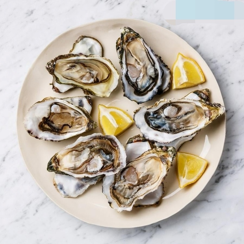 Nếu ăn sống, hàu phải được bảo quản trong nhiệt độ phù hợp, nguồn gốc rõ ràng. Nhưng tốt nhất nên ăn chín. Ảnh minh họa.