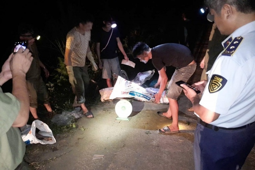 Tiến hành trục vớt, lực lượng chức năng thu được gần 2 tạ thịt lợn chết tại hiện trường. Ảnh: Báo Công an Nhân dân.