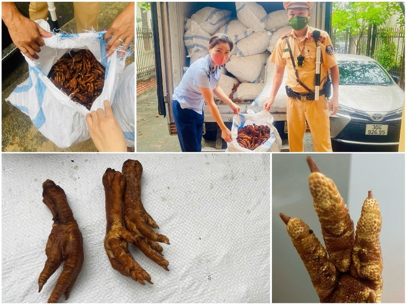 Toàn bộ lô hàng là chân gà đã sơ chế, đóng gói sơ sài, nhiều sản phẩm đã lên nấm mốc. (Ảnh: TTXVN)