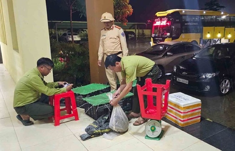 Lực lượng chức năng Hà Tĩnh bắt giữ vụ vận chuyển động vật hoang dã. Ảnh: Công an Hà Tĩnh.