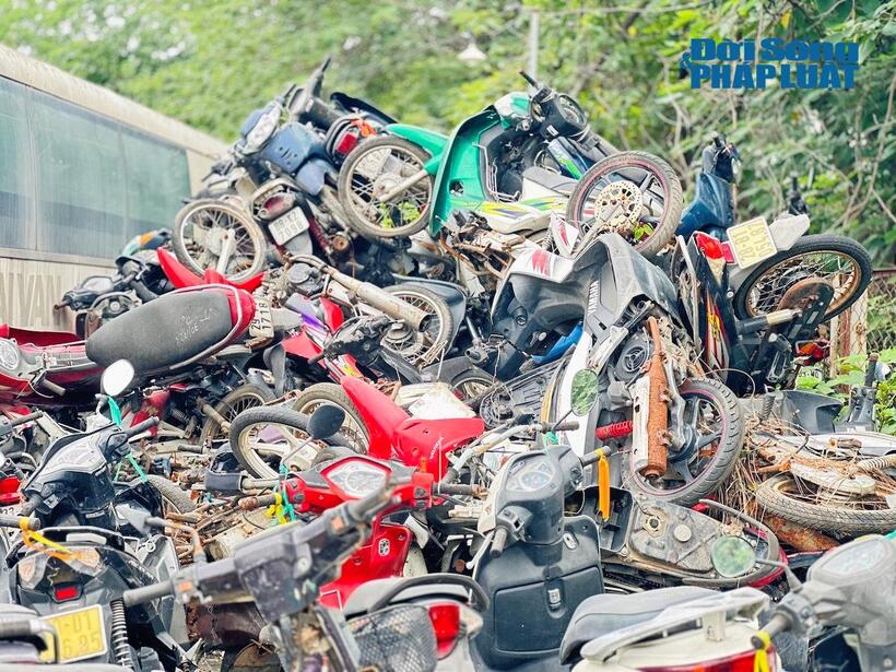 Xe vi phạm bỏ lại chất đống gây lãng phí về tài sản