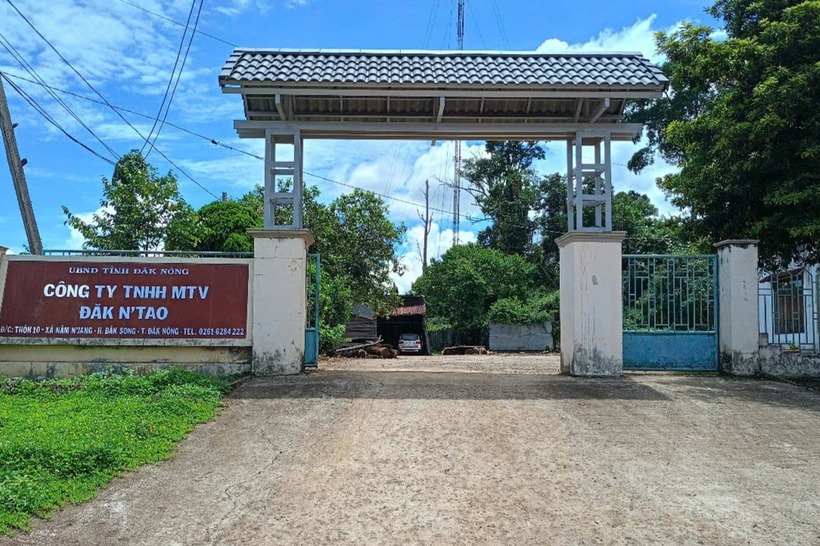 Công ty TNHH MTV Lâm nghiệp Đắk N’tao. (Ảnh: CAND)