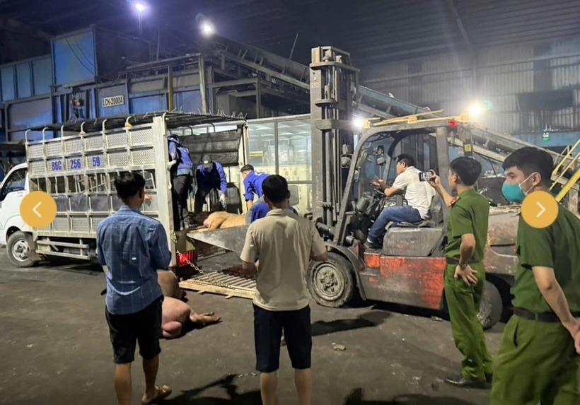 Toàn bộ số thịt lợn nói trên đã bị buộc tiêu hủy theo đúng quy định pháp luật. Ảnh: Báo Dân trí.