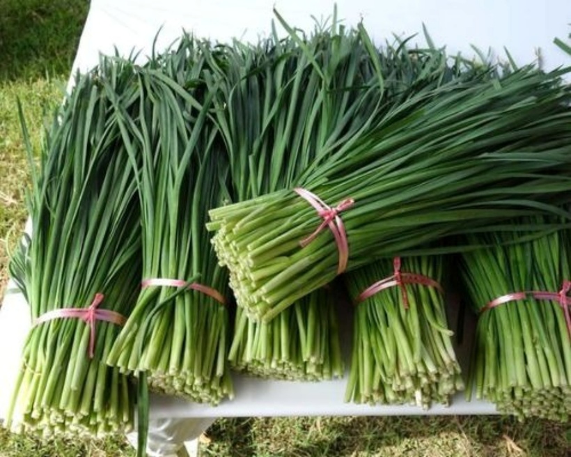 Loại rau mọc đầy ở vườn nhà, giúp giảm mỡ trong gan hiệu quả - 2